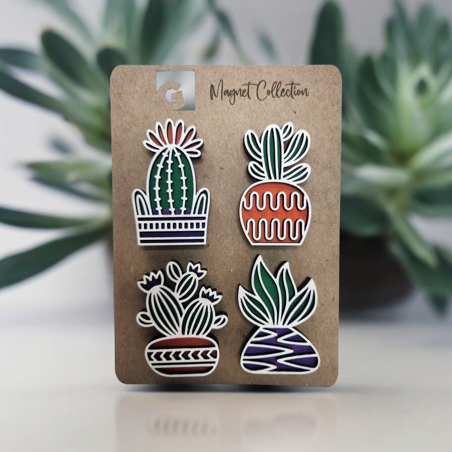 Succulent Magnet Set